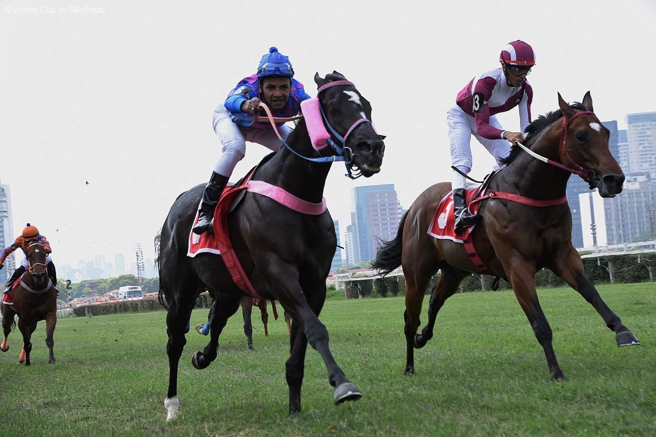 Koran vence GP Presidente M�rcio Corr�a de Toledo (G.3), no Hip�dromo Paulistano