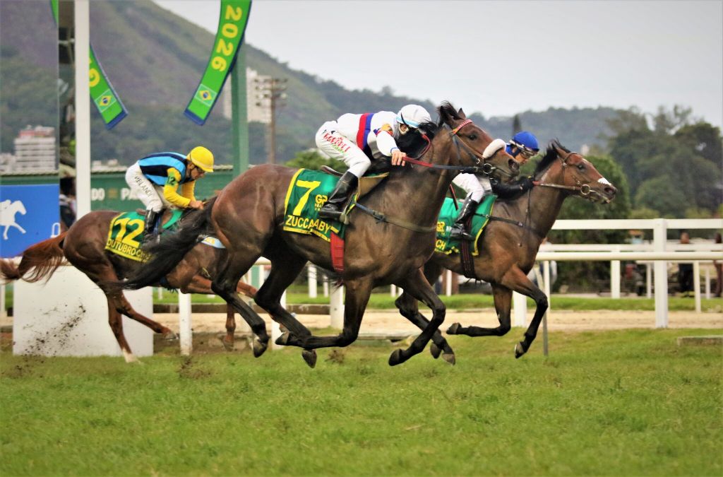 Zucca Baby, do Haras Doce Vale, vence GP Brasil 2026 na revanche com Oderich