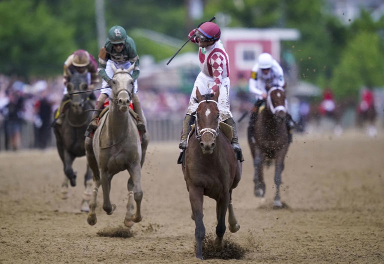Belmont Stakes deste s�bado marca a revanche entre Journalism e Sovereignty