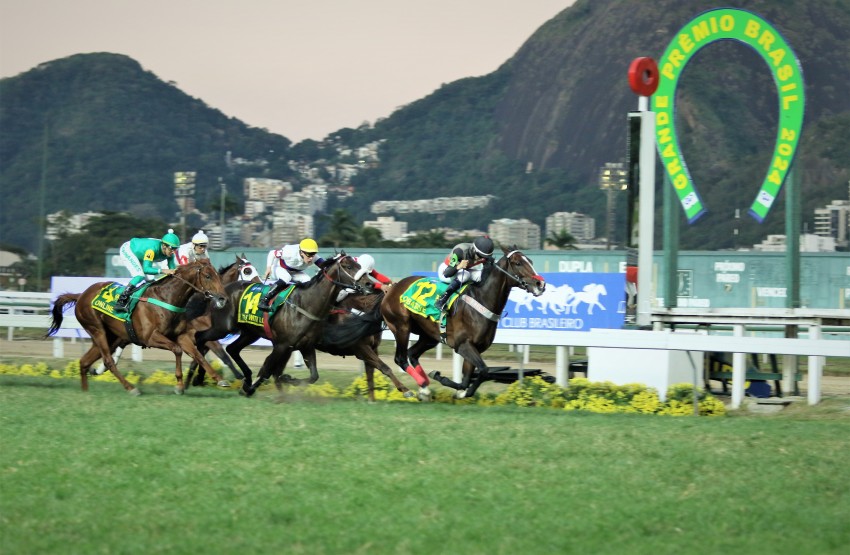 Dream Alliance enfrenta Obataye, candidato ao bicampeonato no GP Brasil (G.1) deste domingo