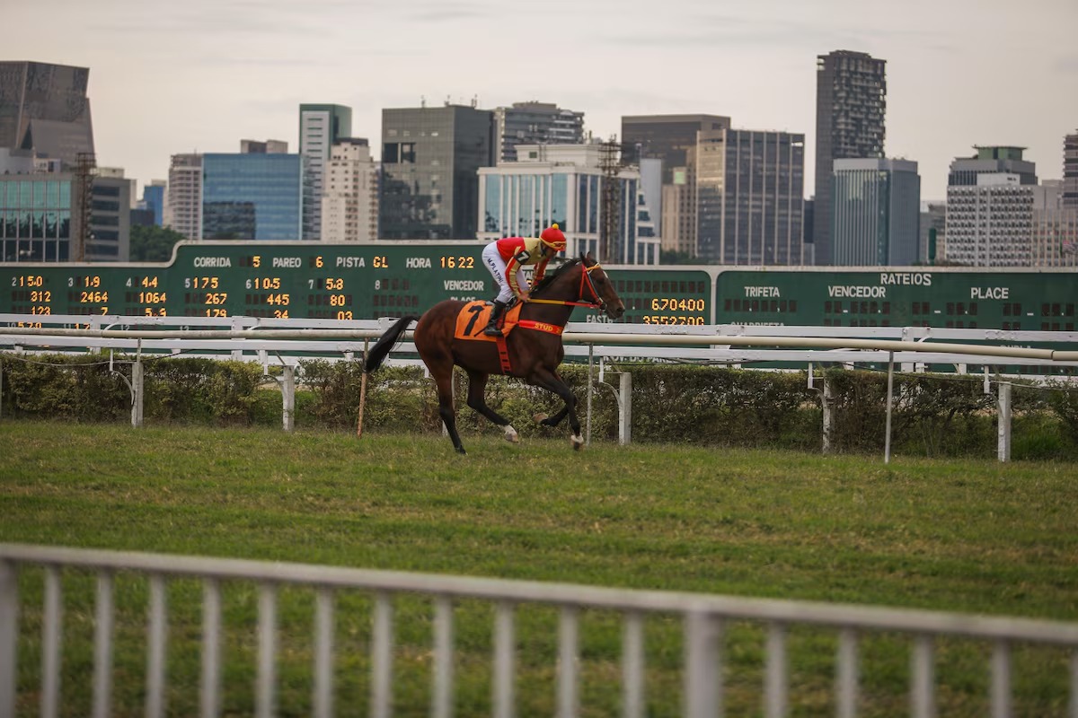Investiga��o contra o Jockey inclui suspeita de uso de subs�dio p�blico com aula de origami e a��car