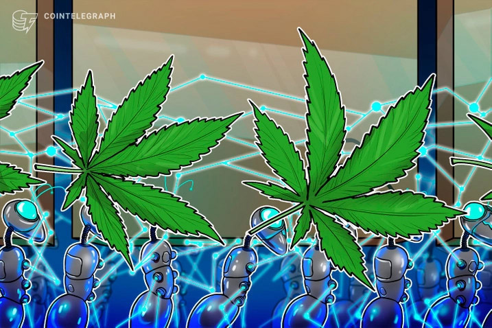 Depois de Bitcoin e DeFi, Vitreo lan�a fundo de maconha, o Cannabis Ativo, aprovado pela CVM