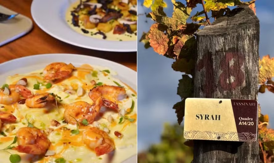 Queijaria La Porta, Fazenda Paraizo e Vin�cola Tassinari: viagem pelo interior vai revelar queijos e vinhos